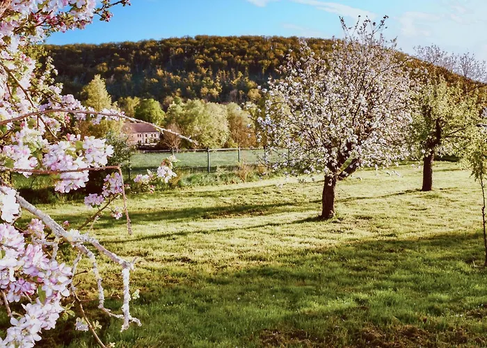 3 Bedroom Stunning In